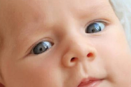 ȱľ